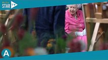 Elizabeth II touchante : elle ressort un bijou offert par ses parents il y a 77 ans pour sa dernière