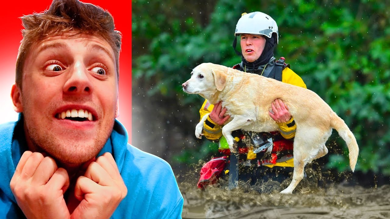 FAMOUS youtubers reactings TRY NOT TO SAY  AWWW  CHALLENGE