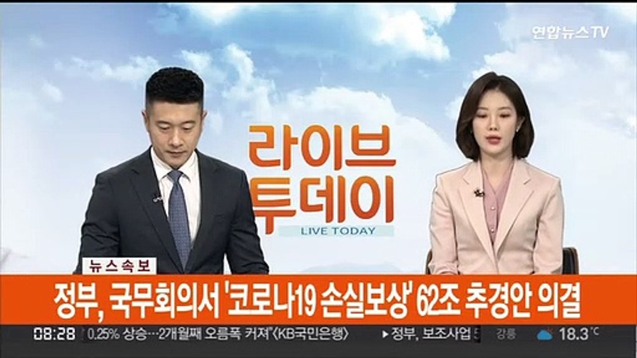 [속보] 정부, 국무회의서 '코로나19 손실보상' 62조 추경안 의결