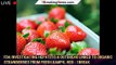 FDA investigating hepatitis A outbreak linked to organic strawberries from Fresh Kampo, HEB - 1break