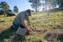 Tree planting with Great Eastern Ranges | 30-5-22 | Bega District News