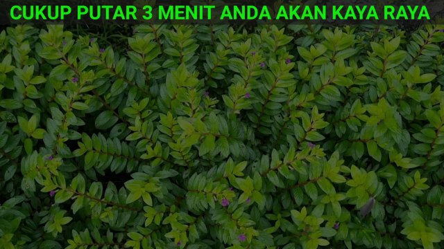 Nanti Malam Bangun Baca Doa Ini Sebentar Saja Kamu Akan Jadi Magnet Uang