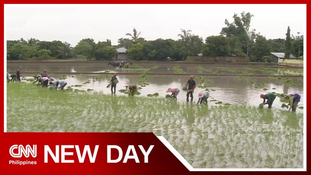 Calls for agri support amid looming food crisis