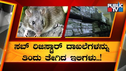ಸರ್ಕಾರಿ ಕಚೇರಿಯಲ್ಲಿ ಮೂಷಿಕ ಸಾಮ್ರಾಜ್ಯ..! | Sub Registrar Office | R Ashok