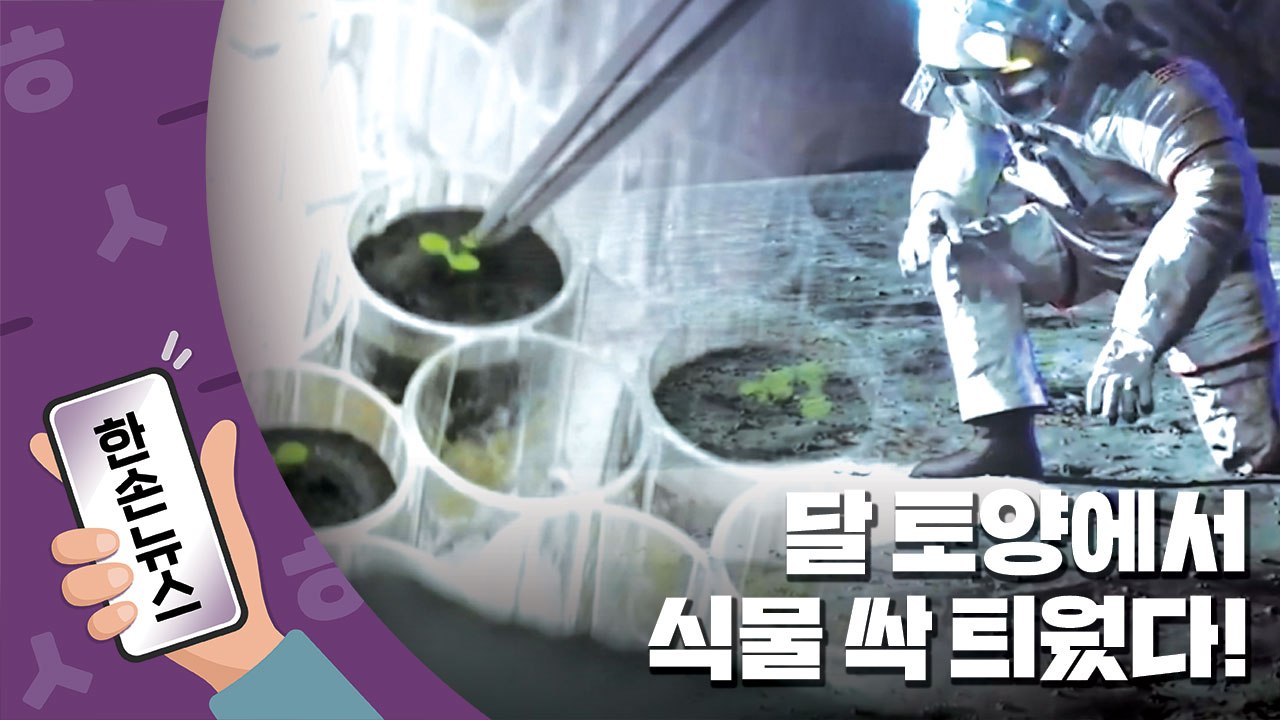 [한손뉴스] 달 토양에서 식물 재배 최초 성공 / YTN