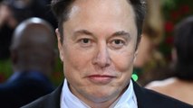 Procès de Johnny Depp & Amber Heard : Elon Musk sort du silence