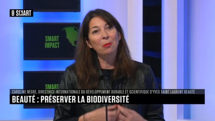 SMART IMPACT - Emission du lundi 30 mai