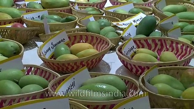 Mangos aplenty at Mango Festival, Dilli haat Pitampura