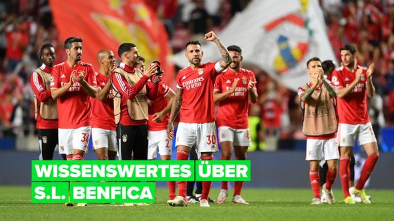 5 interessante Fakten über Benfica