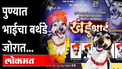 खंडू भाईचा वाढदिवस : सावित्रीबाई फुले पुणे विद्यापीठातील विद्यार्थ्यांचा लाडका कुत्रा | Khandu Bhai