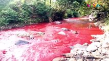 TERKUAK! Penyebab Aliran Sungai Mendadak Jadi Merah 'Darah'