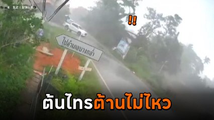 หวาดเสียว ! นาทีฟ้าถล่ม โค่นต้นไทร 100 ปีหัก กระบะเฉียดตายระทึก