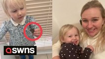 UK mum shocked after toddler returns from playing in the garden holding a LIVE MOUSE