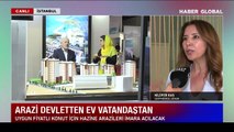 Uzmandan hazine arazilerine konut düzenlemesi için çağrı