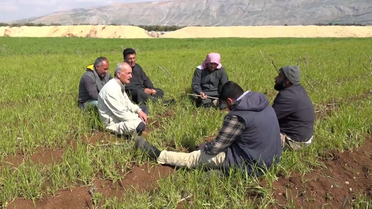 سوريا.. مستقبل الزراعة والمزارعين في سهل الغاب