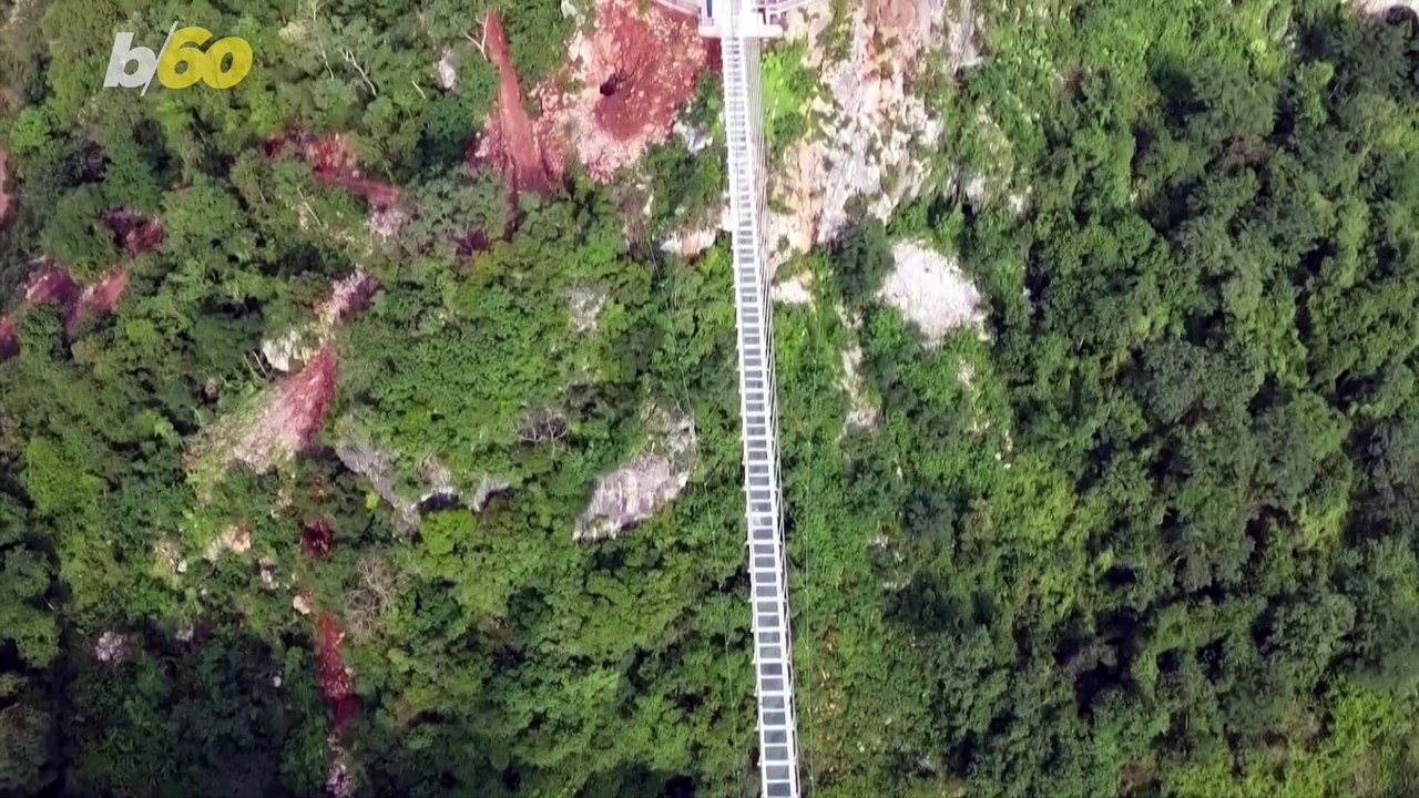 This  Bridge is Made for Thrill Seekers