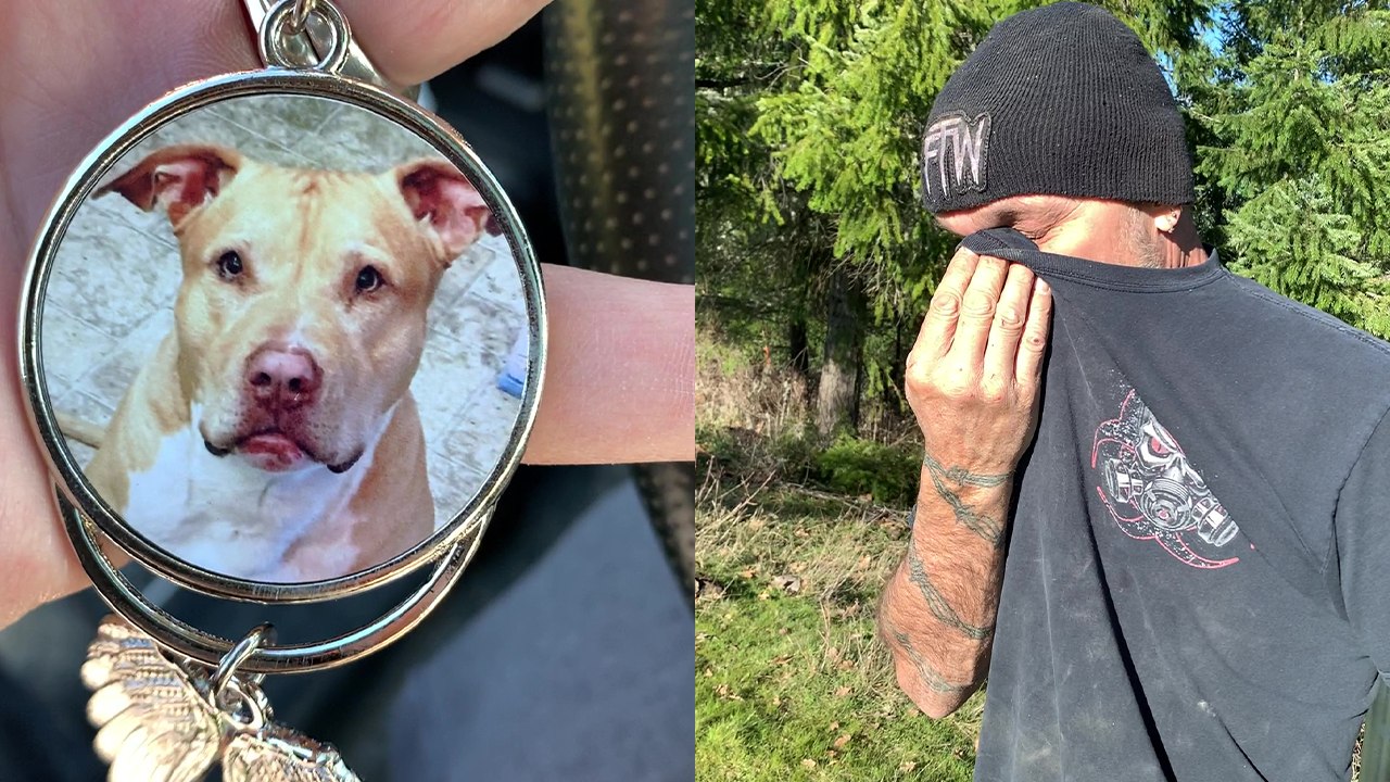'Man fails to fight back tears after receiving a priceless gift reminding him of his late dog'