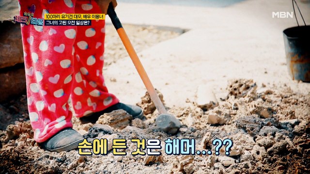 강아지들의 행복이 느껴지는 이용녀의 러브 하우스 공개! 그녀가 아침부터 해머를 들어야 하는 사연은?!