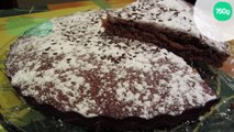 Gâteau moelleux au chocolat facile et rapide