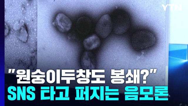 원숭이두창도 봉쇄? ...SNS 타고 퍼지는 음모론 / YTN