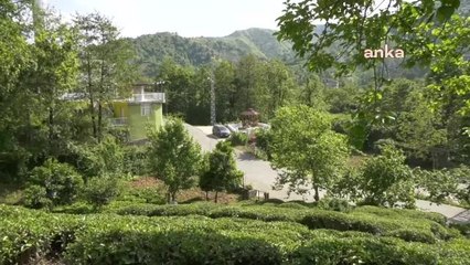 Fındıklı'da Vatandaşlar, Dereyi Kirleten Mandıraya Tepki Gösterdi: "Balıklar Öldü, Kurbağalar Bile Ötmüyor"