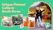 6 UNIQUE-Themed Cafés In South Korea