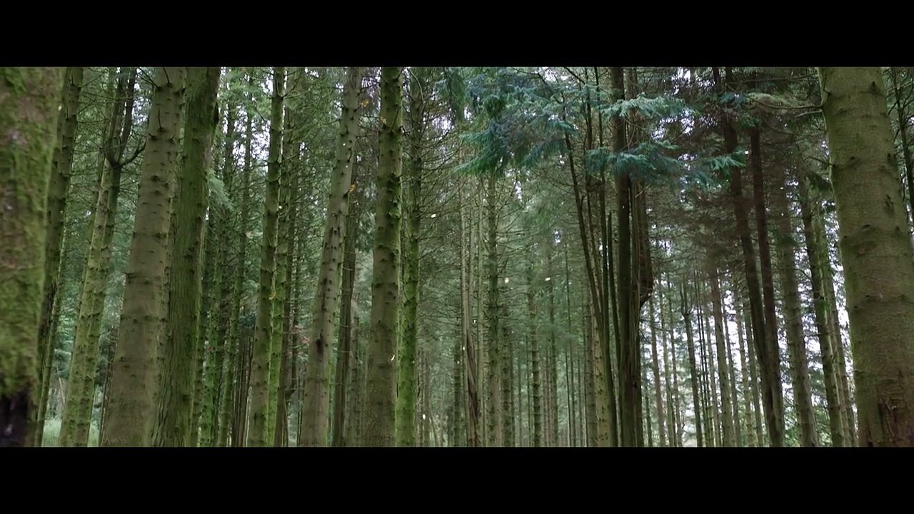 Willow - Première bande-annonce (VF)