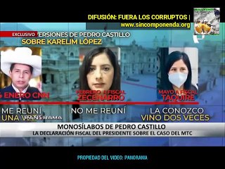 COMO SE ESPERABA CASTILLO NO CONTESTÓ LAS PREGUNTAS POR ESCRITO DE LA FISCAL