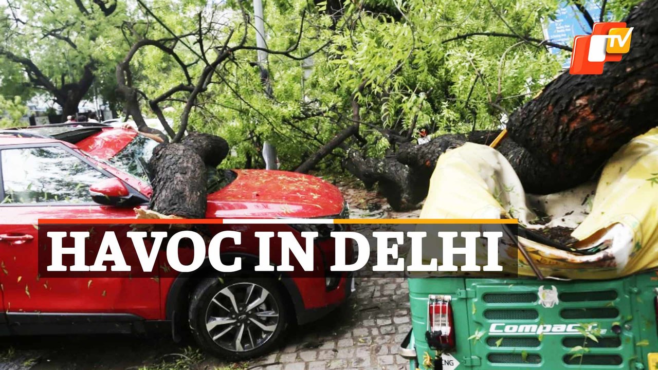 WATCH | Strong Winds, Rain  Lash Delhi; Trees Uprooted