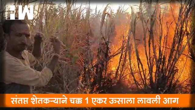 संतप्त शेतकऱ्याने चक्क 1 एकर ऊसाला लावली आग| Jalna Sugarcane Fire| DadaBhuse| Farmers| Crops
