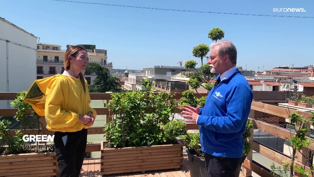 Les abeilles, sentinelles de l'environnement des carabiniers italiens