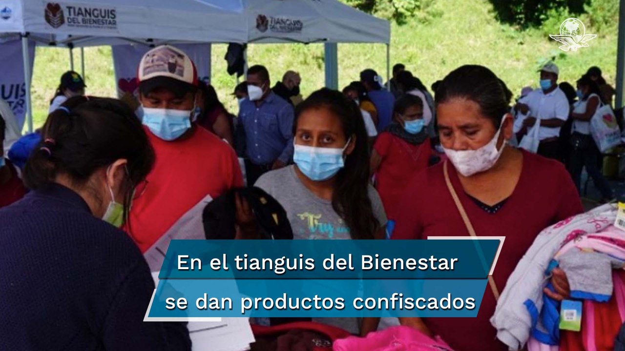 Gobierno analiza donar terrenos del crimen organizado a comunidades indígenas: AMLO