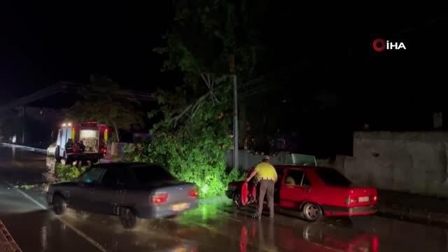Şiddetli rüzgar ağaçları devirdi, kapanan yollar ekiplerce açıldı