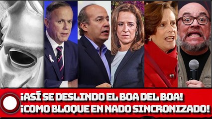 ¡ASÍ SE DESLINDO EL BOA DEL BOA! ¡COMO BLOQUE EN NADO SINCRONIZADO!