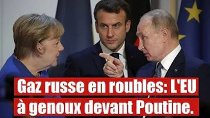 Gaz russe : Tous les pays de L'EU  d'accords pour pays en rouble.