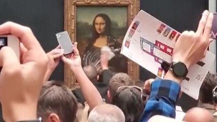 루브르 박물관 '모나리자'에 케이크 던진 남성 붙잡혀 / YTN