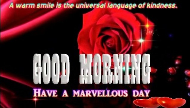 GOOD MORNING video | new good morning whatsapp status | GOOD MORNING gif | good morning status video | Good morning wishes viral video