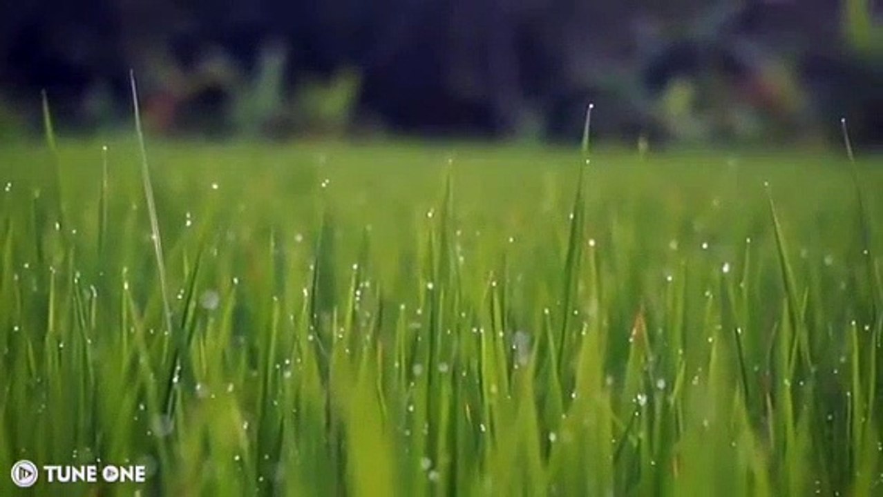 Relaxing Piano music - Rain Sounds