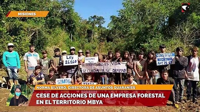 Cese de acciones de una empresa forestal en el territorio mbya