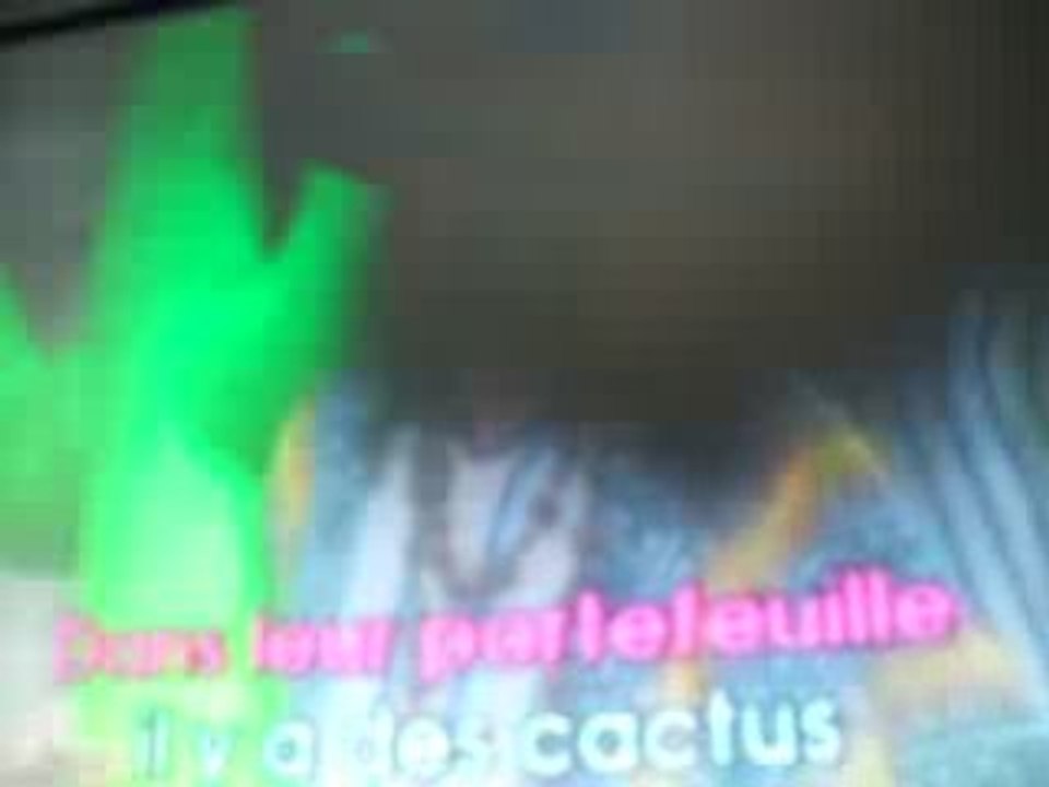 les cactus