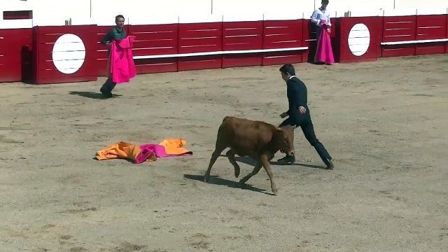 28.05.2022 Grenade Ganaderia Dargelos Capea 1e Sortie avec Baptiste & Anais