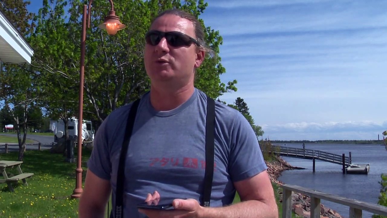 Grippe aviaire: La baie-des-chaleurs touchée de partout