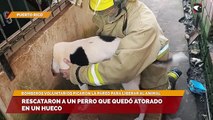 Rescataron a un perro que quedó atorado en un hueco