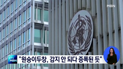 WHO "원숭이두창, 감지 안 되고 퍼지다 최근 증폭된 듯"