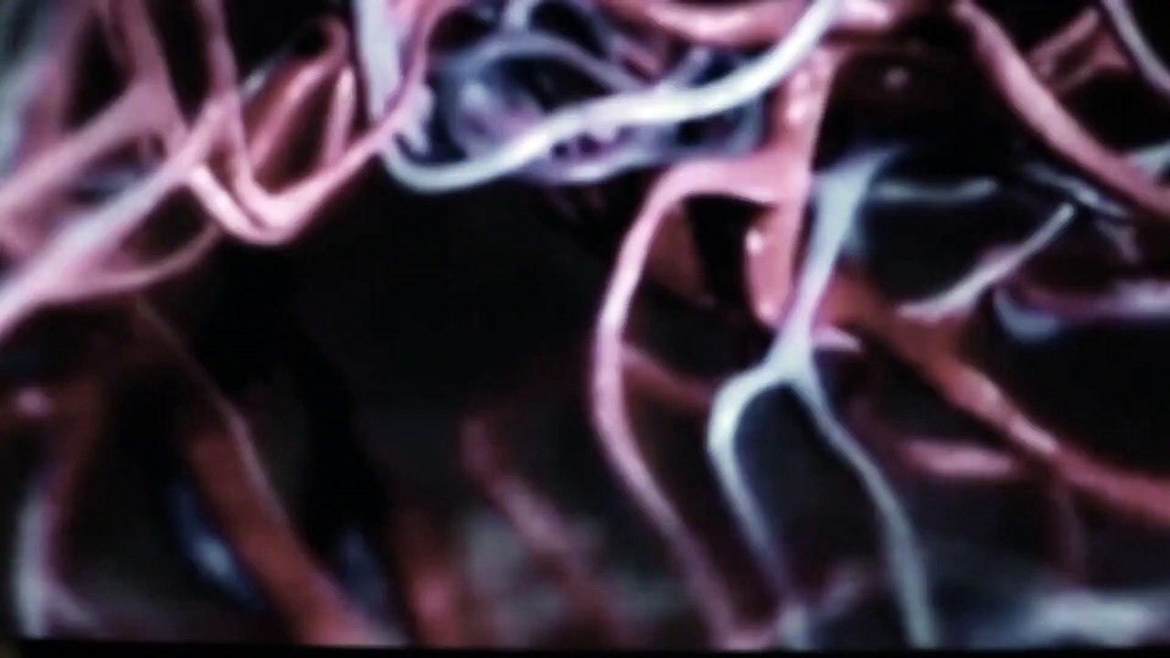 BASTARD IN MIND Film