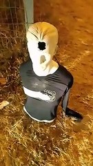 Boneco vestido de policial e com "tiro" na cabeça é colocado em rua do DF