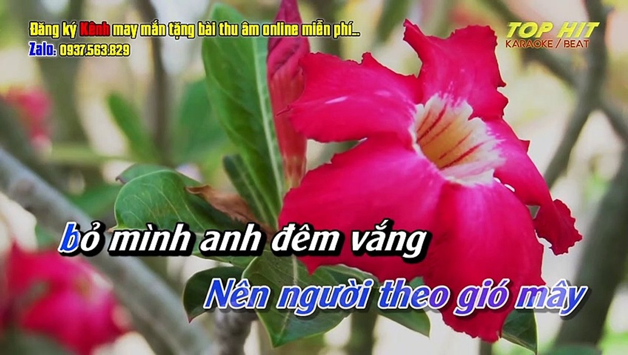 Mưa Bụi 2 Remix Karaoke Tone Nam Nhạc Sống Chuẩn - TOP HIT KARAOKE