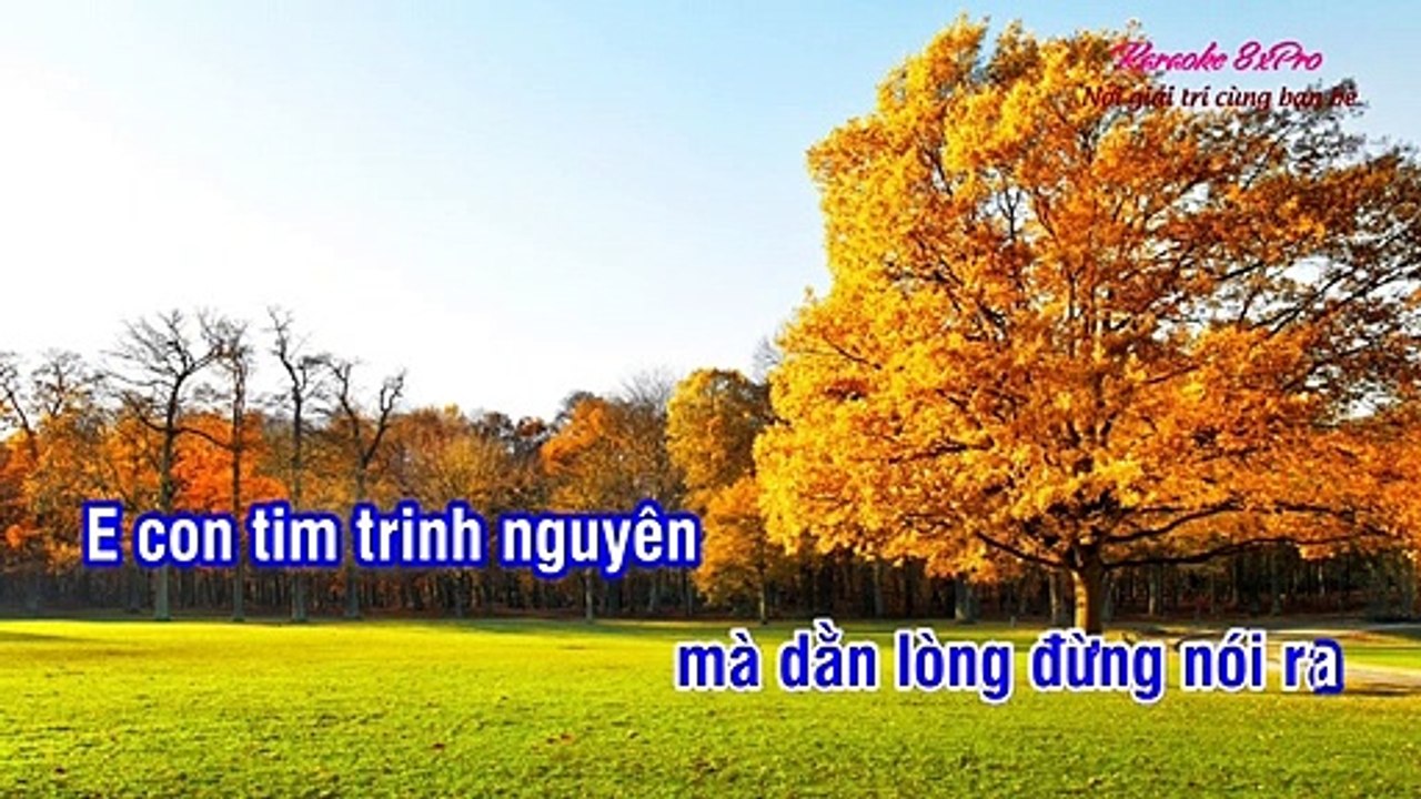 Karaoke Tình Đơn Phương Remix TONE NAM