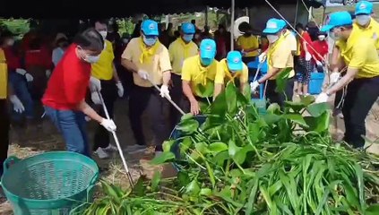 แคนนอน ร่วมกับ เทศบาลตำบลปราสาททอง จัดกิจกรรมสิ่งแวดล้อมเพื่อสังคมขุดลอกคูคลอง ใช้ประโยชน์จากผักตบชวาอย่างยั่งยืน ปีที่ 6