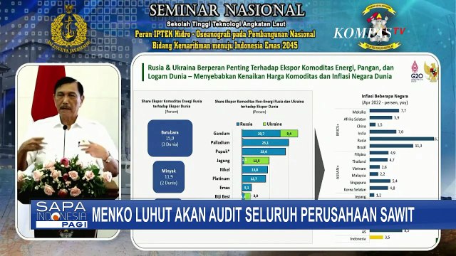 Upaya Stabilkan Harga Minyak Goreng, Luhut Akan Audit Seluruh Perusahaan Sawit